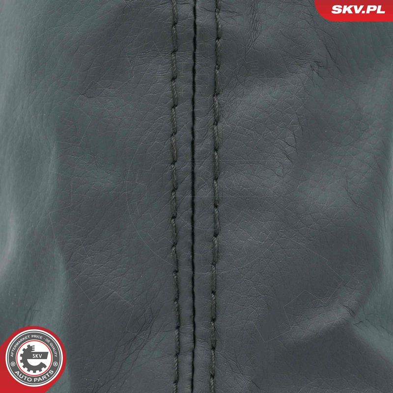 Käigukanginupp, ESEN SKV 63SKV451