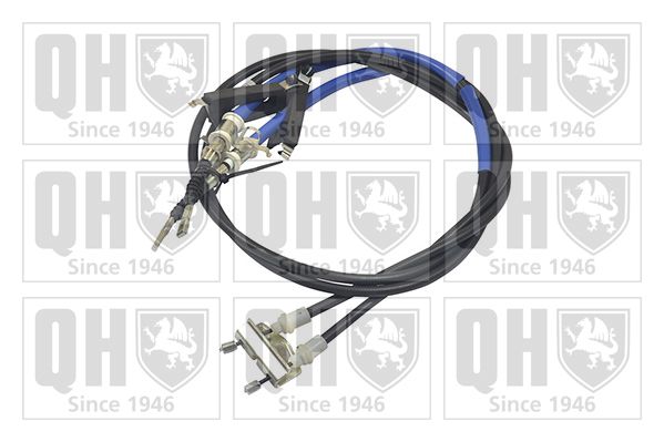 QH_BC3626.JPG