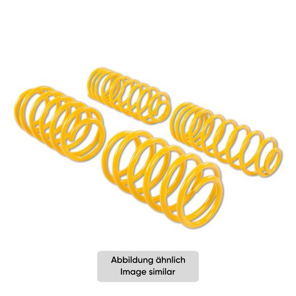 ST 28210391 Suspension Set, springs