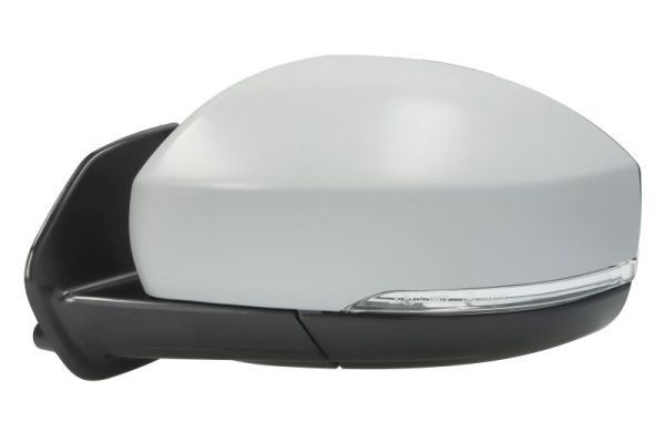 BLIC 5402-57-0697310P Exterior Mirror