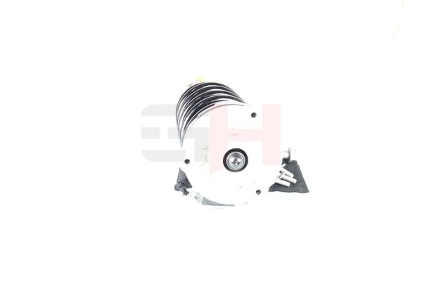 GH GH-331524C03 Suspension Strut