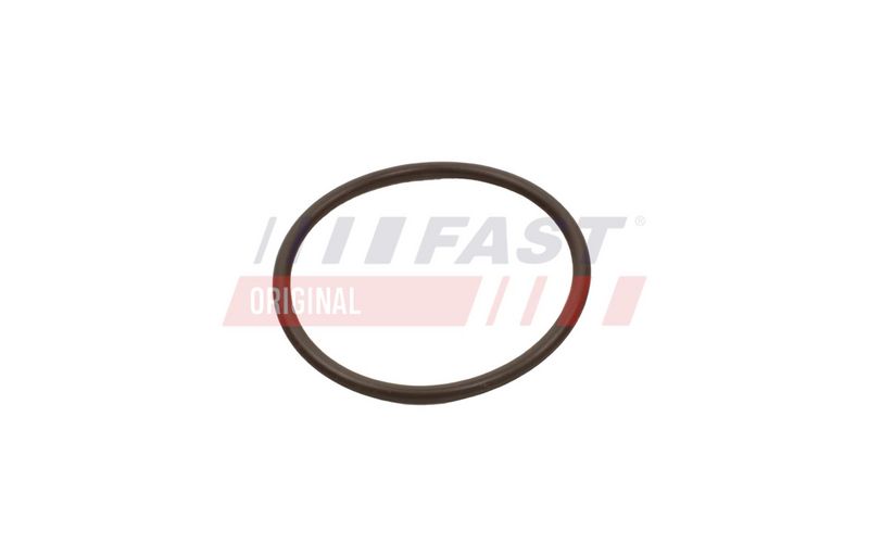 FAST FT49933 Turbinos žarnos tarpinė
