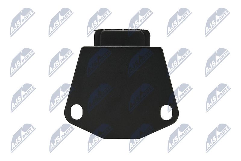 Paigutus, Mootor, NTY ZPS-MS-073