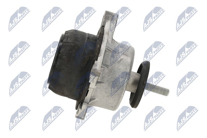 Paigutus, Mootor, NTY ZPS-FR-013