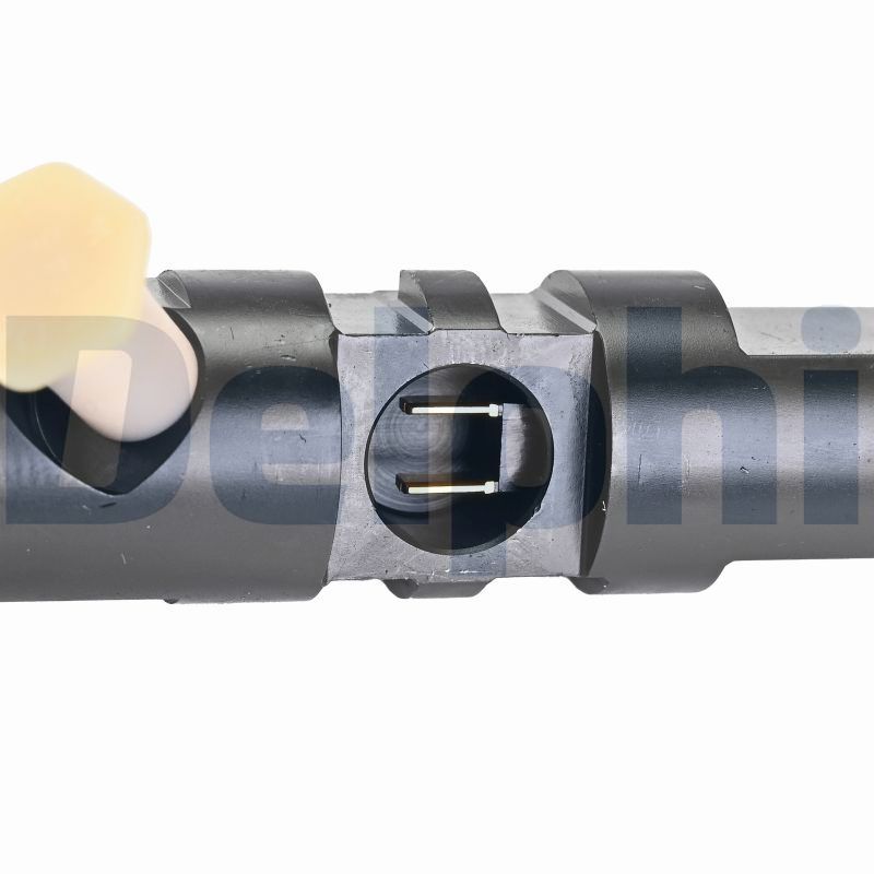 DELPHI R03501D-12B1 Injector