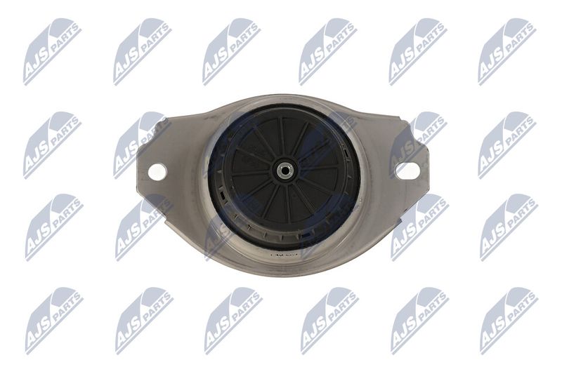 Paigutus, Mootor, NTY ZPS-LR-017