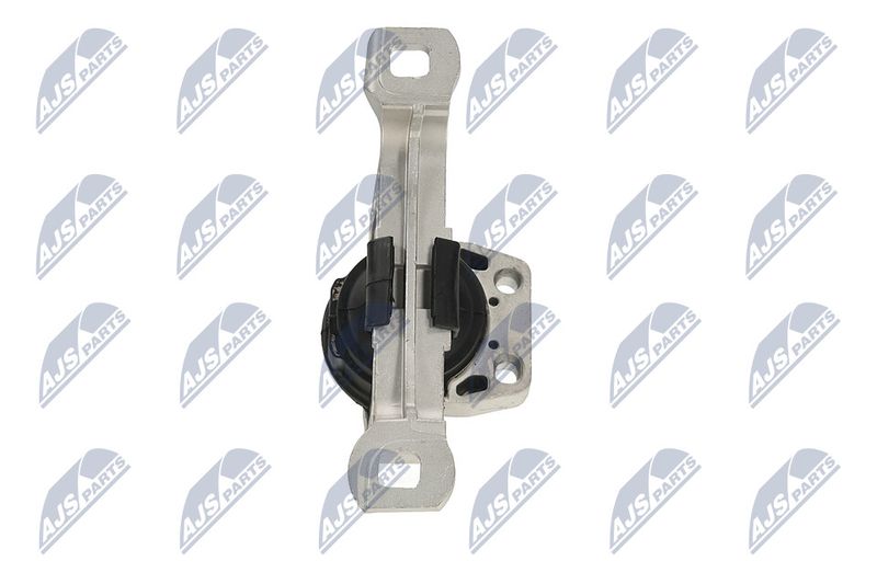 Paigutus, Mootor, NTY ZPS-FR-020