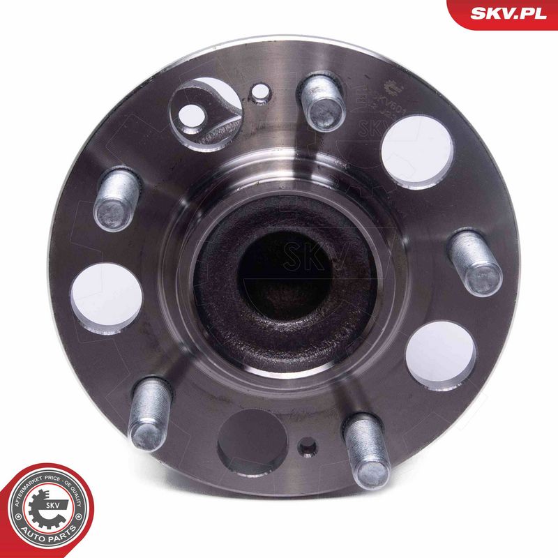 Rattalaagrikomplekt, ESEN SKV 29SKV601