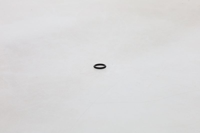 BOSCH F002A51088 Rubber Ring