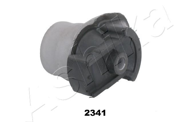 GOM-2341_1.JPG