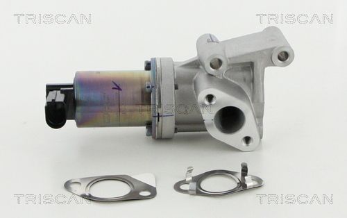 TRISCAN AGR-szelep 8813 18038