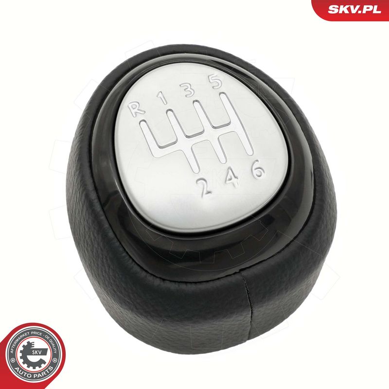 Käigukanginupp, ESEN SKV 63SKV534