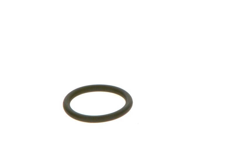BOSCH F 00R J01 452 Rubber Ring