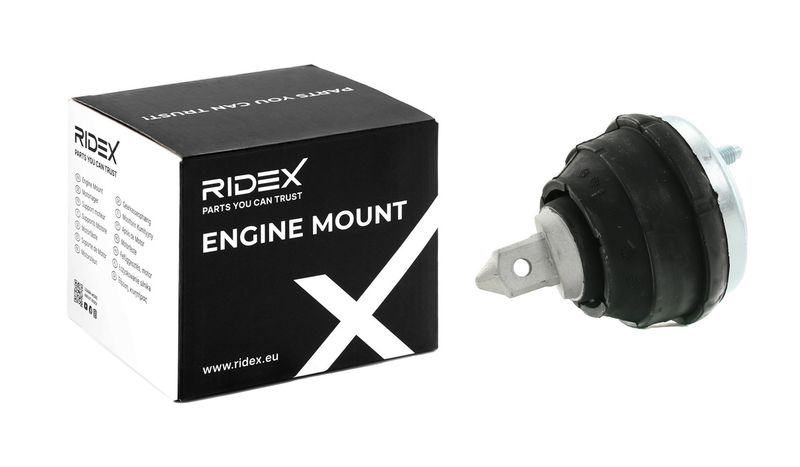 окачване, двигател RIDEX