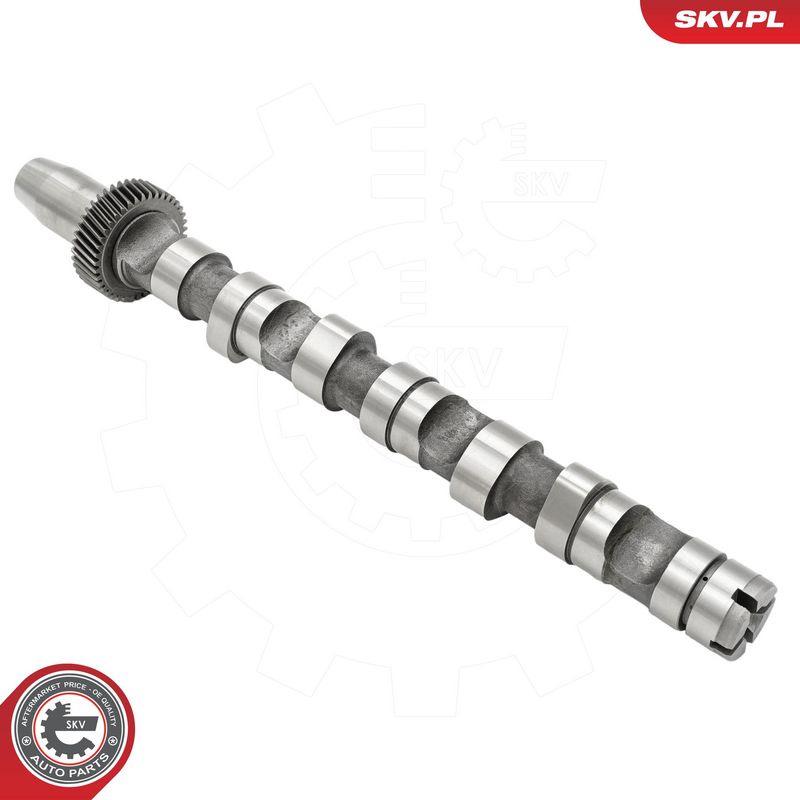 Nukkvõll, ESEN SKV 80SKV032