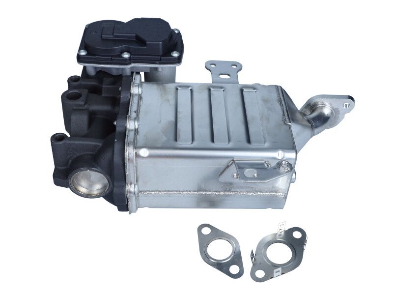 Prekė atitinka OEM kodą: 04L131512CG