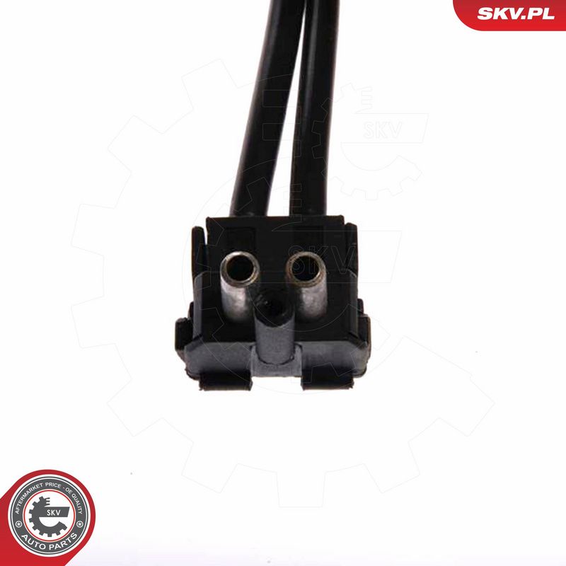 ESEN SKV 02SKV006 Fuel Pump