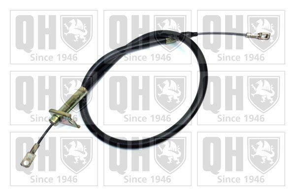 QH_BC2306.JPG