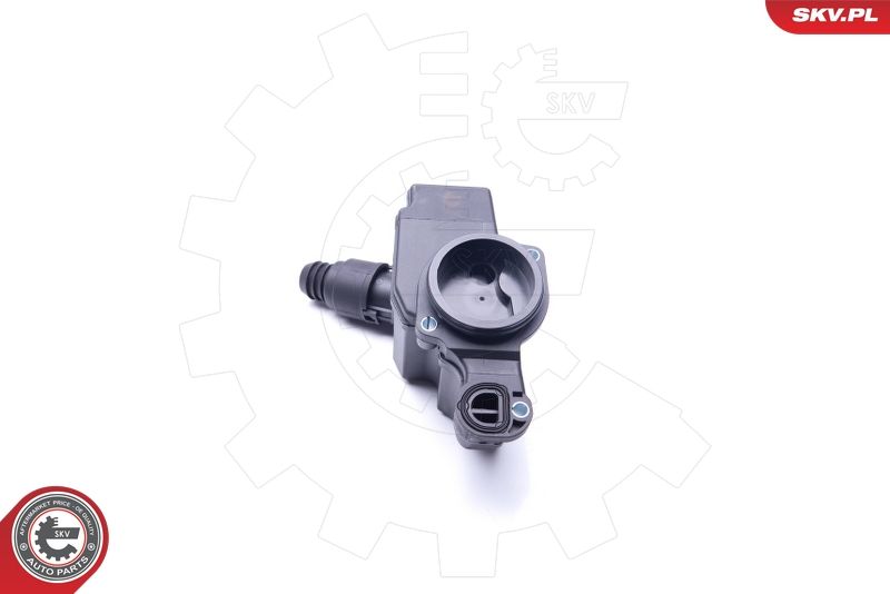 ESEN SKV 31SKV098 Repair Kit, crankcase ventilation