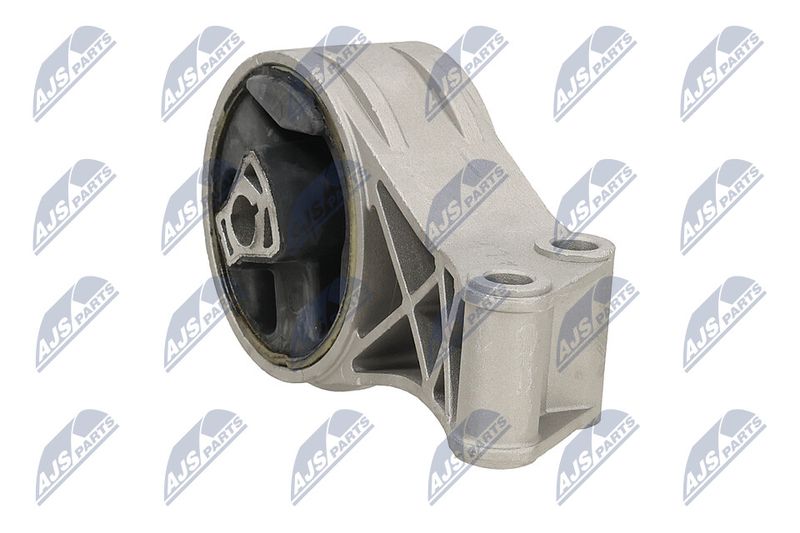 Paigutus, Mootor, NTY ZPS-PL-024