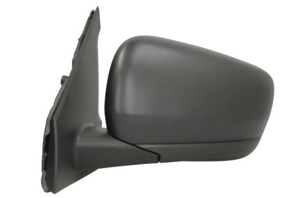 BLIC 5402-09-2434310P Exterior Mirror