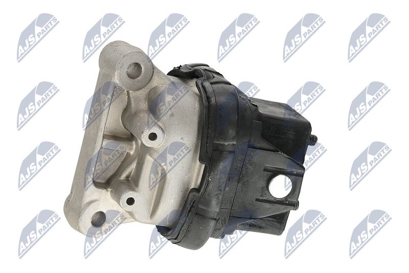 Paigutus, Mootor, NTY ZPS-CH-019