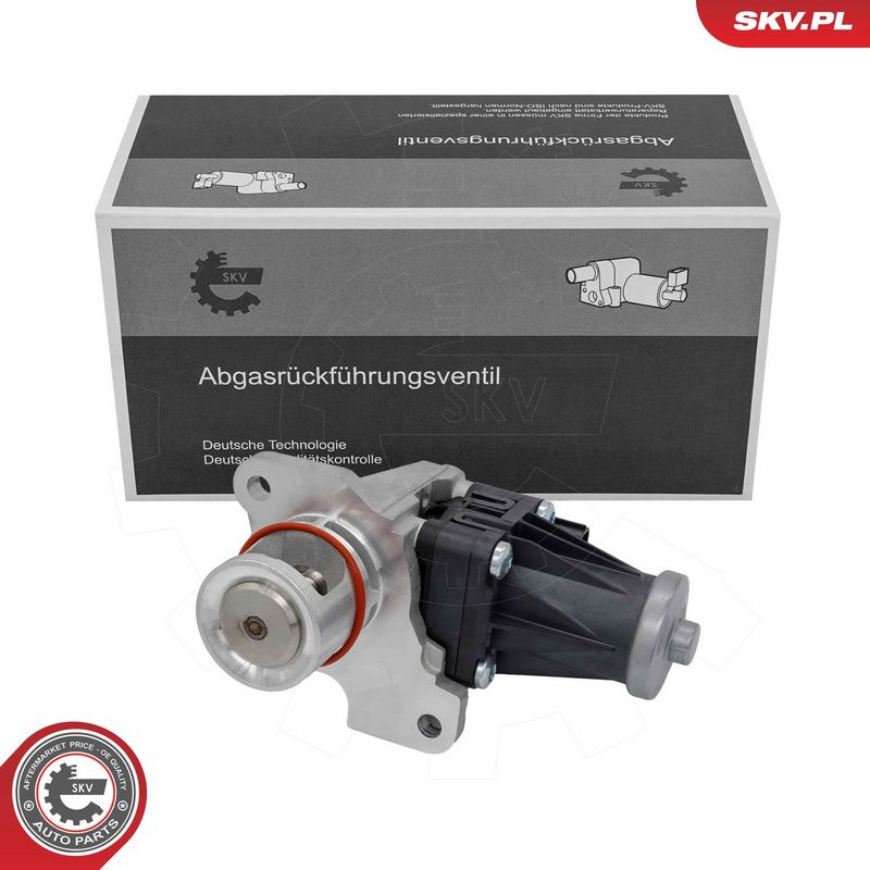 EGR-klapp, ESEN SKV 14SKV318