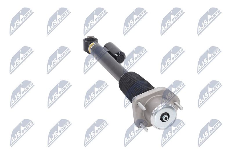 Amort, NTY A-LR-020