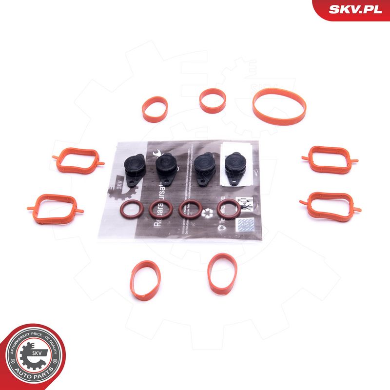 Remondikomplekt, imitoru moodul, ESEN SKV 49SKV561