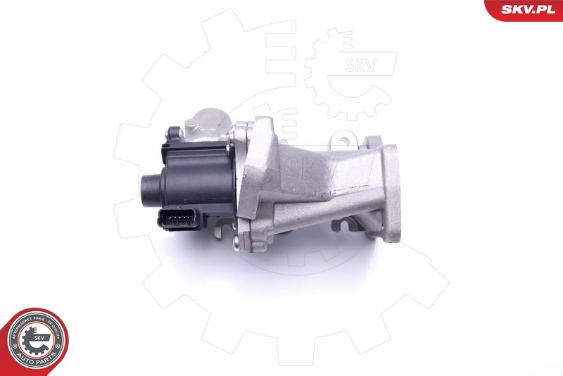 ESEN SKV 14SKV171 EGR Valve