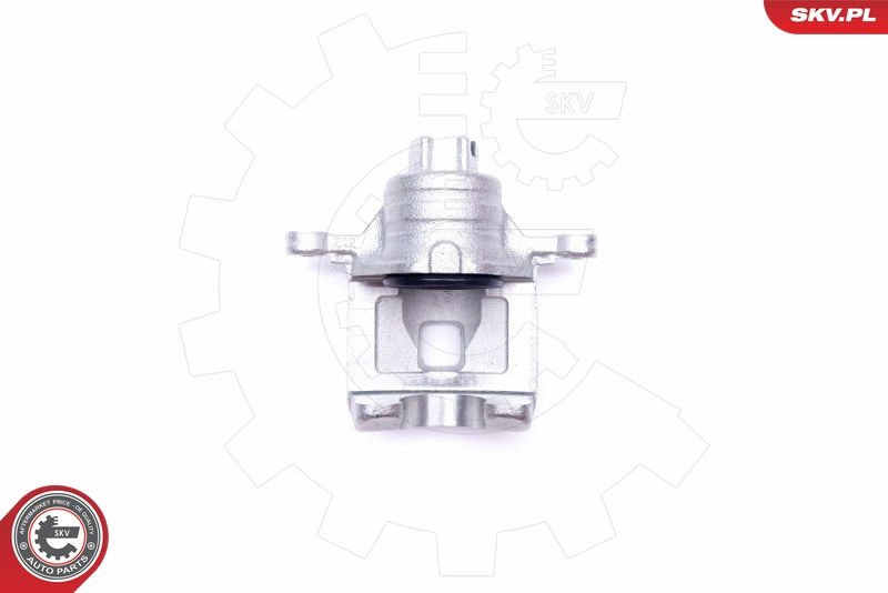 ESEN SKV 45SKV673 Brake Caliper