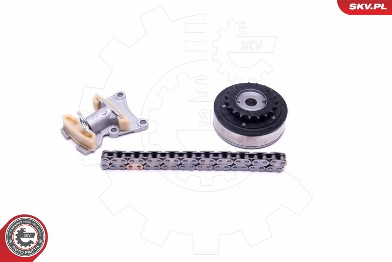 ESEN SKV 21SKV115 Timing Chain Kit