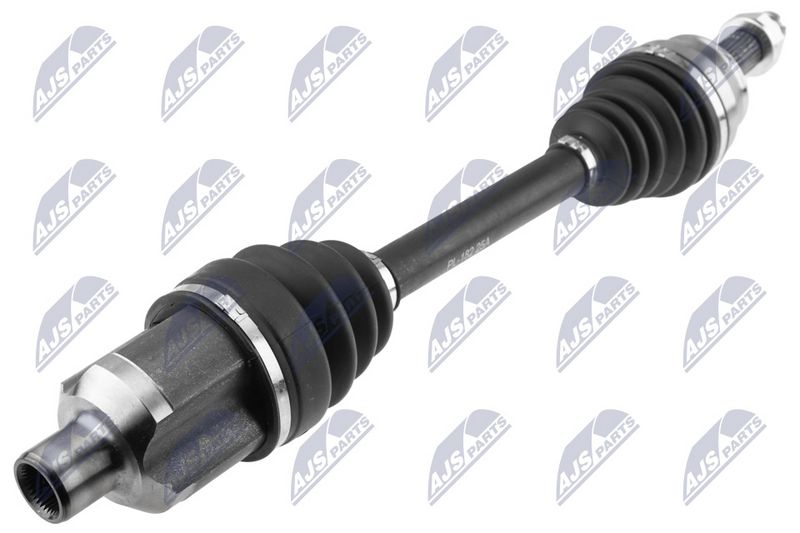 npw-pl-182_1-wm.JPG