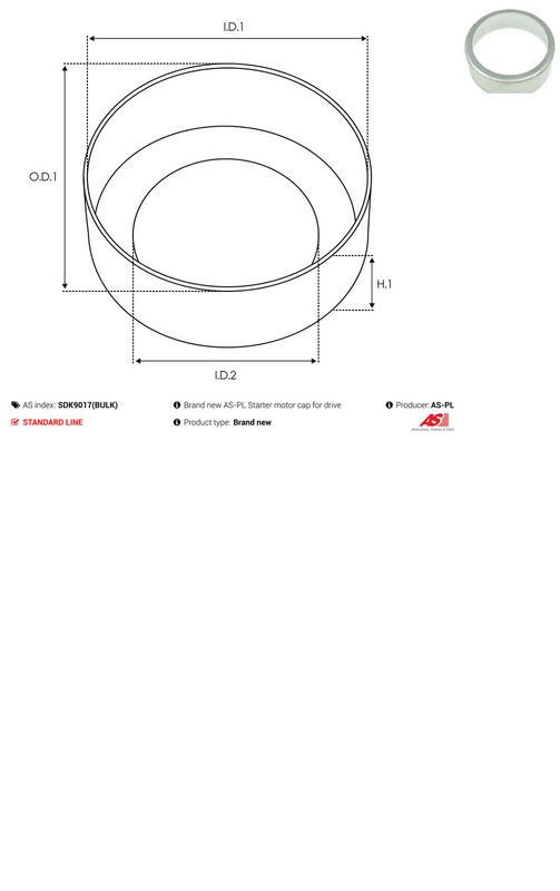 AS-PL SDK9017(BULK) Repair Kit, starter