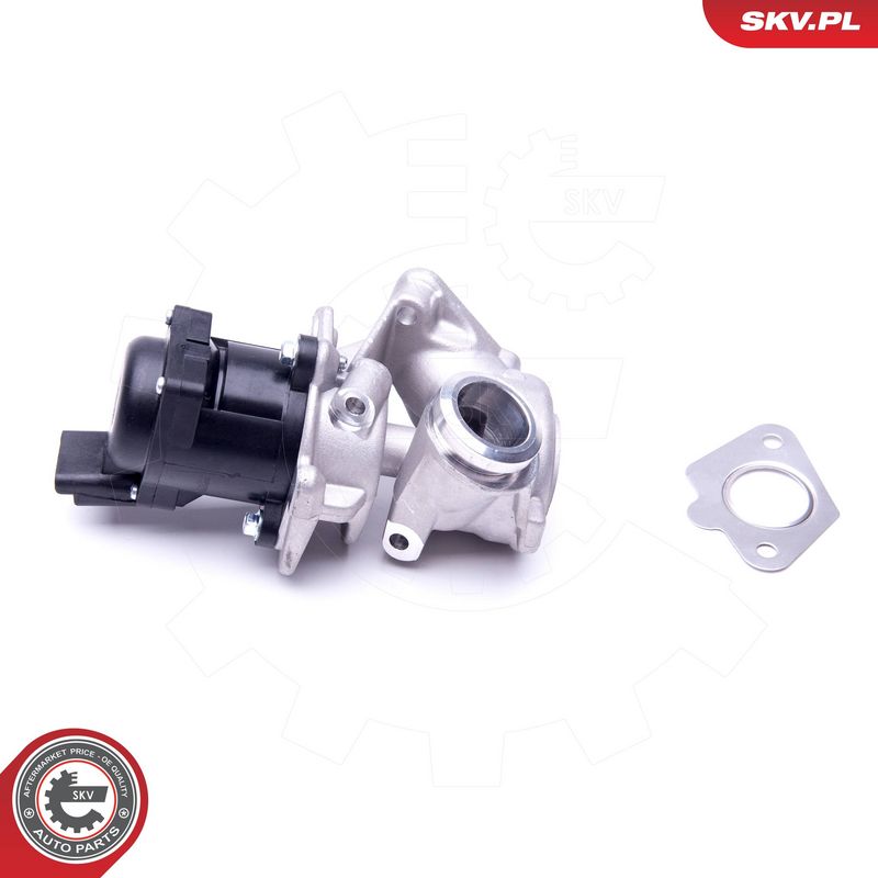 EGR-klapp, ESEN SKV 14SKV202