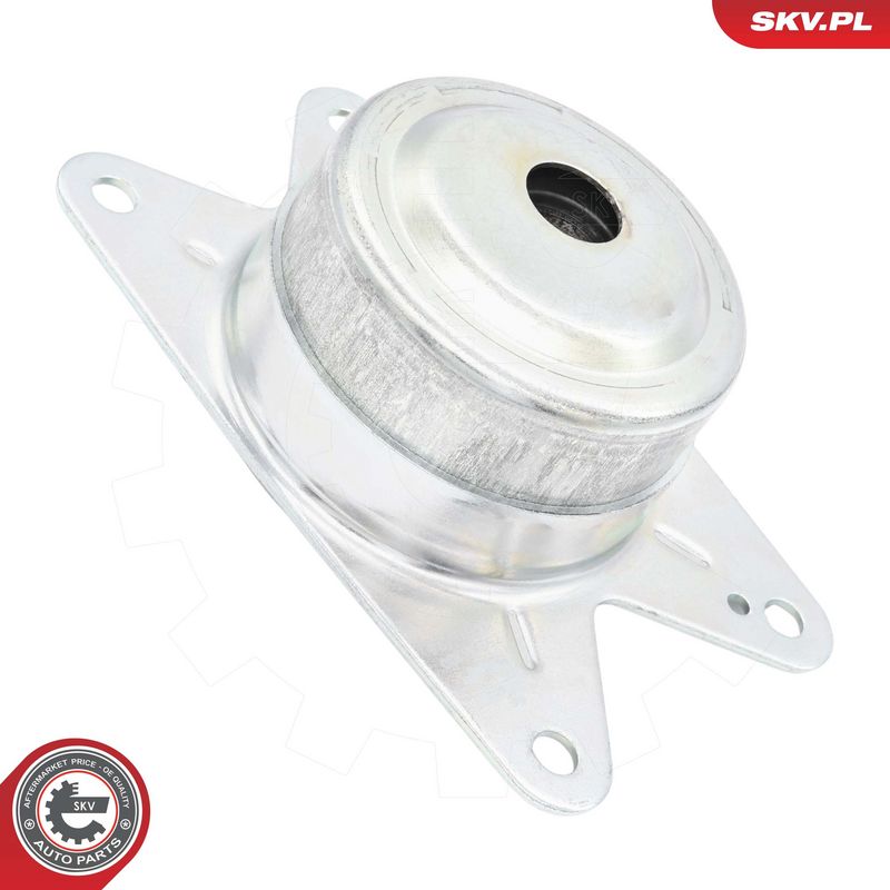 Paigutus, Mootor, ESEN SKV...