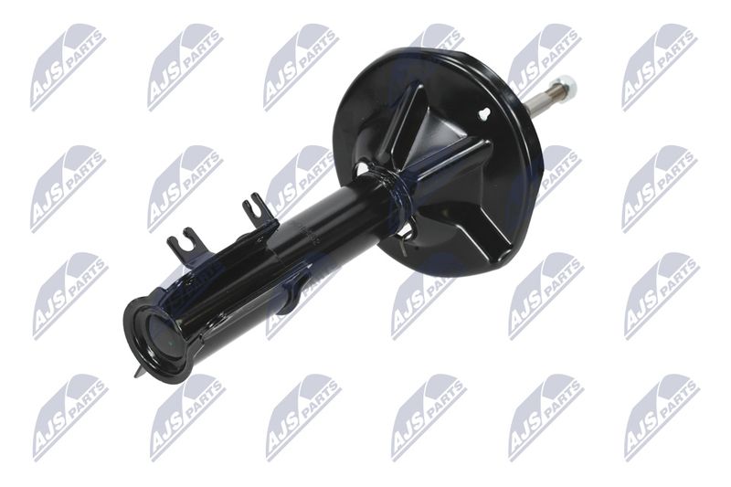 Amort, NTY A-CH-052