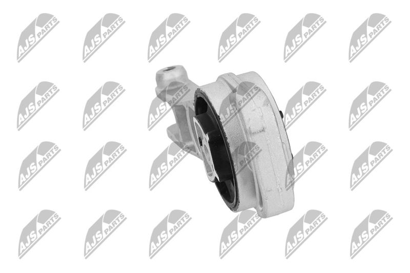 Paigutus, Mootor, NTY ZPS-PL-080