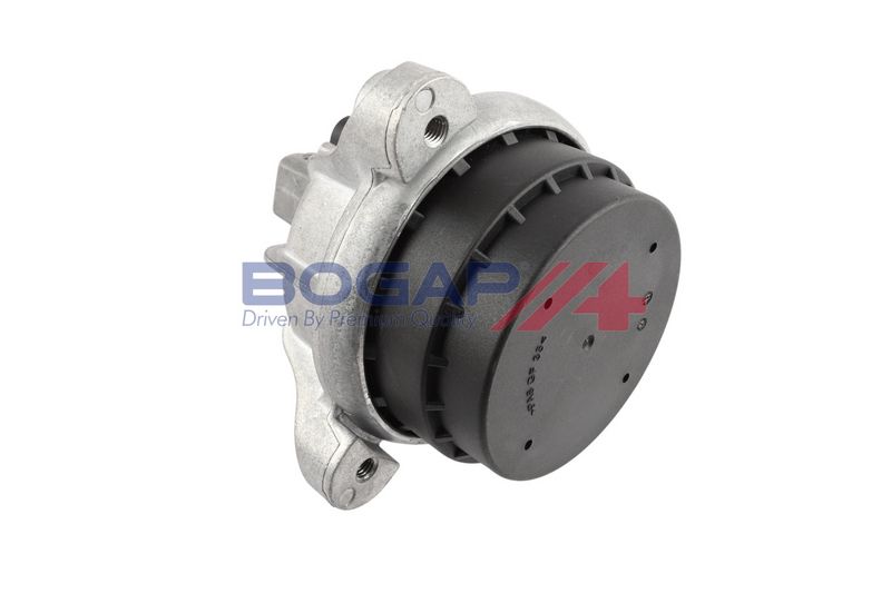 BOGAP Variklio montavimas