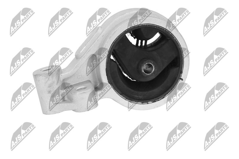 Paigutus, Mootor, NTY ZPS-KA-312