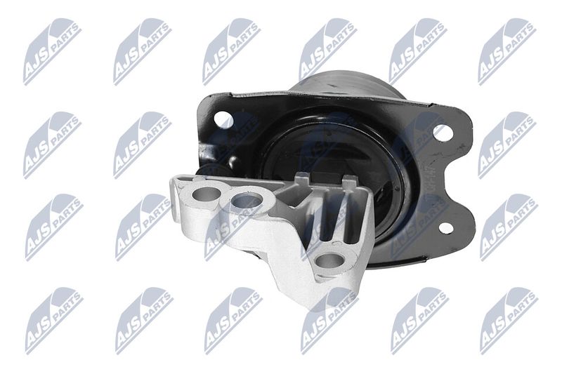 Paigutus, Mootor, NTY ZPS-CH-147