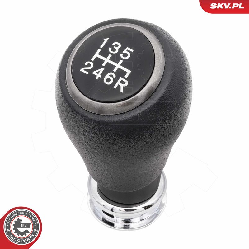 Käigukanginupp, ESEN SKV...