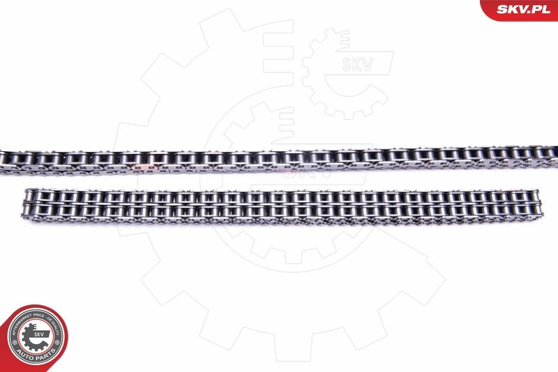 ESEN SKV 21SKV204 Timing Chain Kit