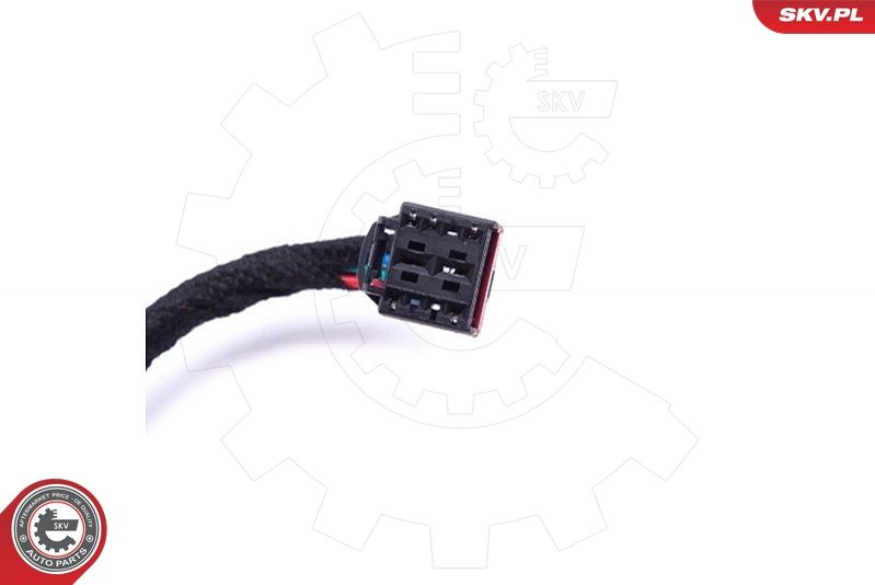ESEN SKV 52SKV919 Electric Motor, tailgate