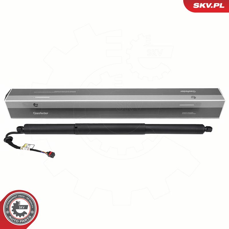 Elektrimootor, tagaluuk, ESEN SKV 52SKV219