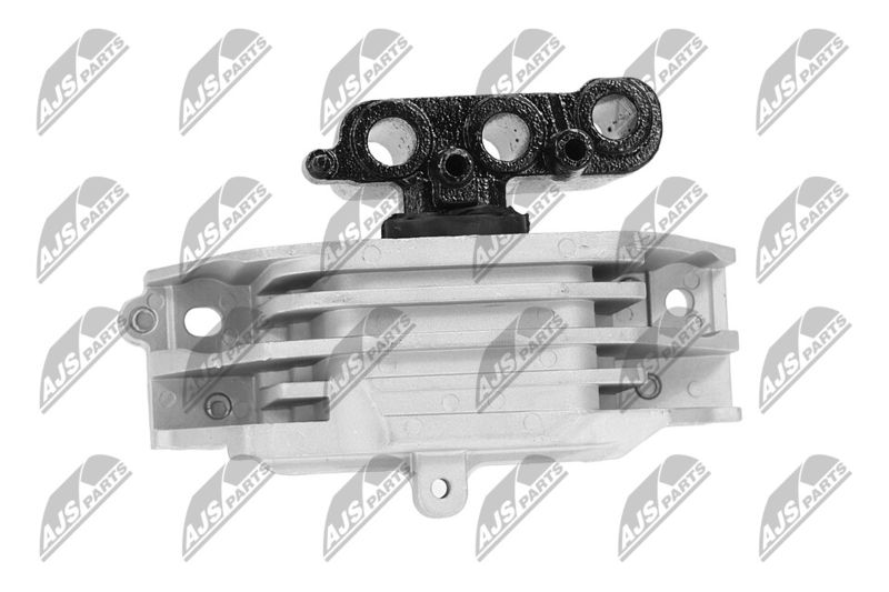 Paigutus, Mootor, NTY ZPS-CH-103