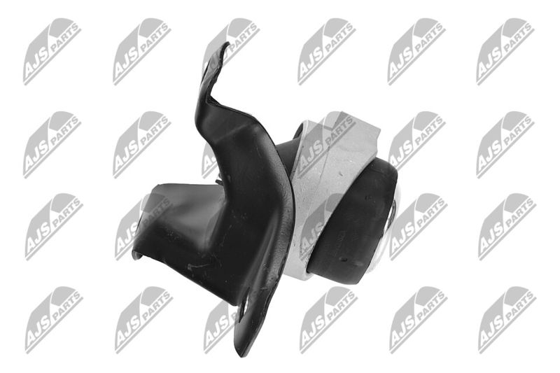 Paigutus, Mootor, NTY ZPS-FR-011