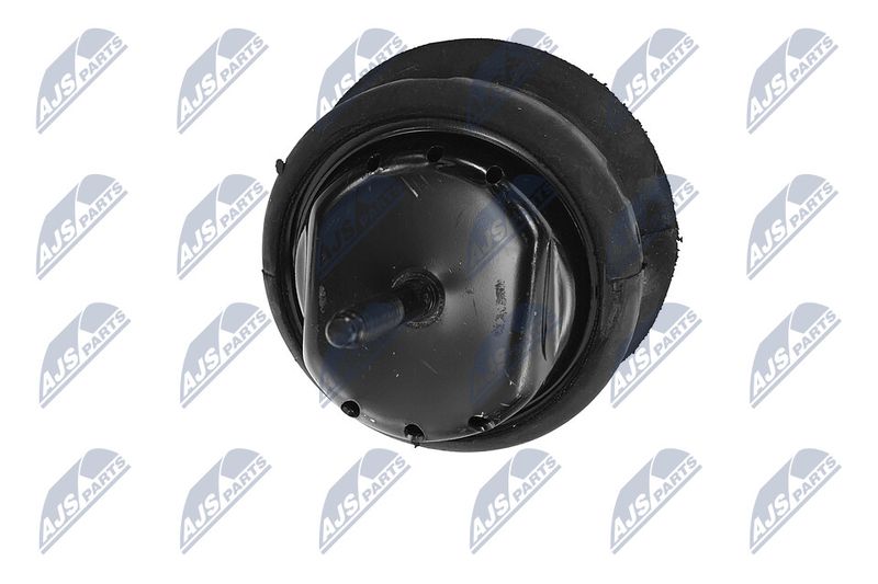 Paigutus, Mootor, NTY ZPS-CH-070