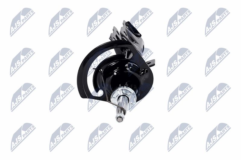 Amort, NTY A-CH-057