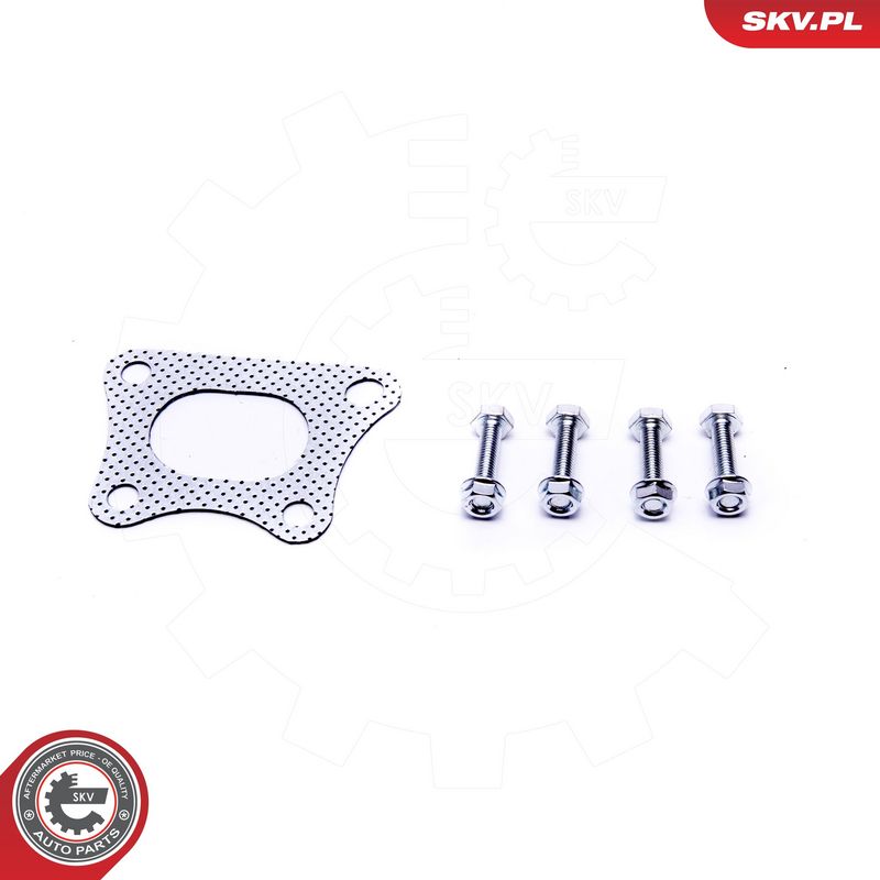 Katalüsaator, ESEN SKV 62SKV011